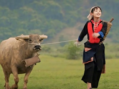 Biên kịch thiếu trải nghiệm cuộc sống?