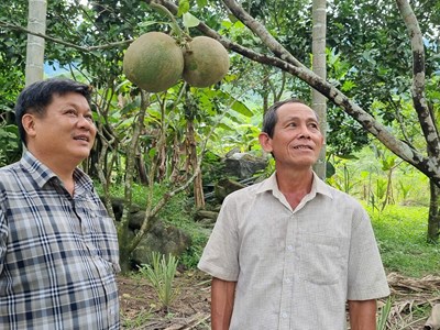 Thoát nghèo trên mảnh đất quê hương