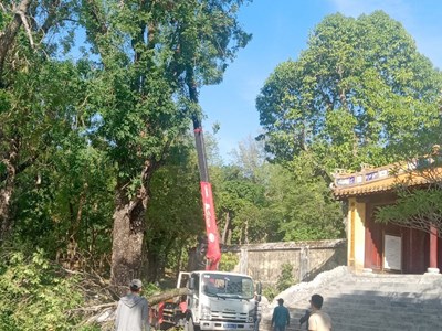 Tuyệt đối không được chủ quan