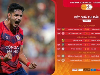 “Ngựa ô” vững bước