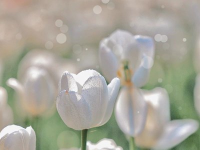 20 điều quan trọng nên nói với con gái trước khi con 13 tuổi