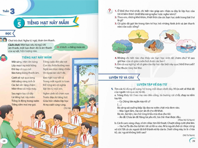 Đừng tiếp tay cho sự “vô minh” trên cõi mạng