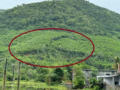 Người dân Phú Gia sống thấp thỏm ở vùng “báo động đỏ” sạt trượt