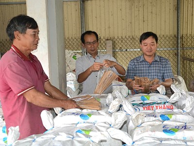 Thành công từ mô hình sản xuất đũa gỗ