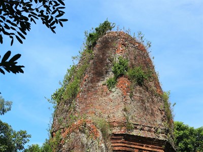 Cấp thiết bảo tồn di tích tháp Chăm 1000 năm tuổi