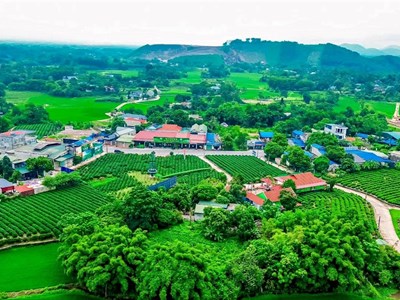 Tiềm năng lớn nhưng khai thác chưa hiệu quả