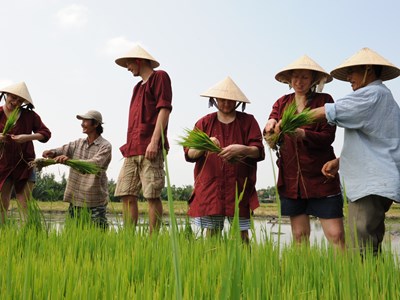 Bảo tồn văn hóa nông thôn trong phát triển du lịch cộng đồng