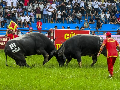 Chú trọng những giải pháp trọng tâm, trọng điểm