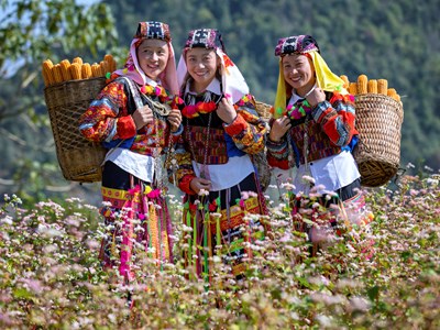 Tôn vinh những giá trị đặc sắc của Cao nguyên đá Đồng Văn