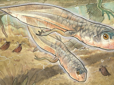 Phát hiện hóa thạch nòng nọc lâu đời nhất thế giới