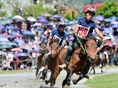  Kiến tạo môi trường thuận lợi để thúc đẩy phát triển kinh tế thể thao