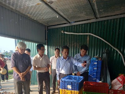 Cần giải pháp bảo tồn phù hợp