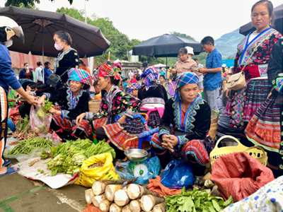 Chợ Phiên Sin Suối Hồ – Bản Hòa Tấu Văn Hóa Giữa Đại Ngàn Tây Bắc