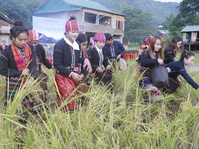 Tôn vinh bản sắc, phát triển tiềm năng du lịch