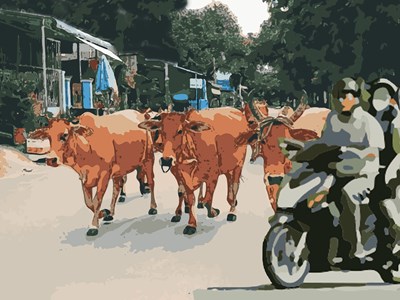 Thấy sai, thì nói lời xin lỗi