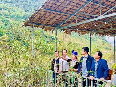 Trao sinh kế, tạo động lực