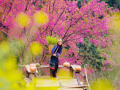  Sôi động thị trường Tết 2025