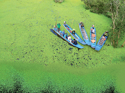 Phát triển du lịch cộng sinh trong kỷ nguyên vươn mình của dân tộc Việt Nam