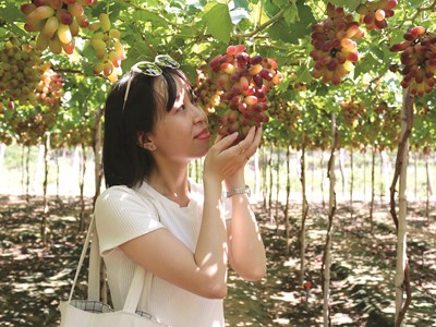 Du lịch xanh nơi miền nắng gió…