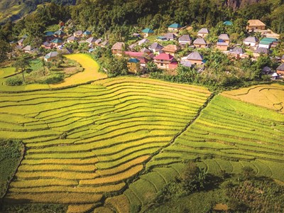 Y Tý làm giàu từ di sản