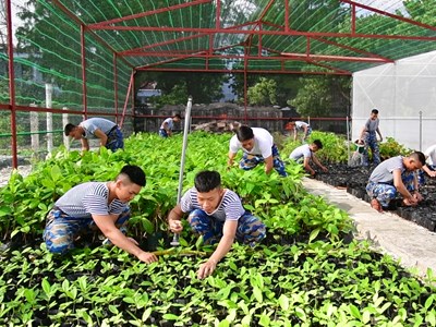 Ra Trường Sa xem “Sơn Ca ba nhất”