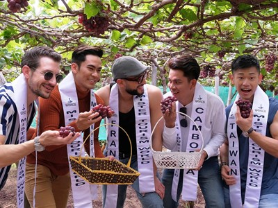 Thưởng thức vị ngọt của nho ở “xứ sở của nắng và gió”