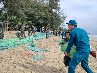  Làm đê cát ngăn nước biển xâm thực ở bãi biển đẹp nhất Quảng Ngãi