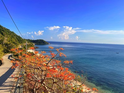 Cộng đồng hưởng lợi, sinh thái được bảo vệ