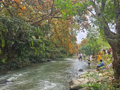  Hoa trang suối Tà Má hút khách