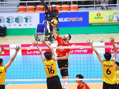  Sức hút từ những ngôi sao