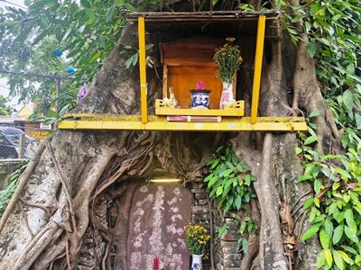 Điều tra và xử lý nghiêm hành vi phá hoại di tích