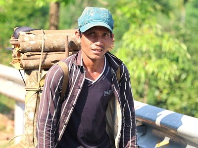 Hương quế thắp sáng ước mơ vùng cao