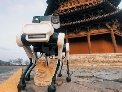 Chó robot bảo vệ ngôi chùa gần 1.000 năm tuổi ở Trung Quốc