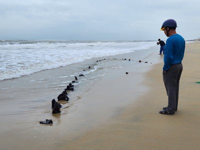 Đây có thể tàu truyền thống Biển Đông