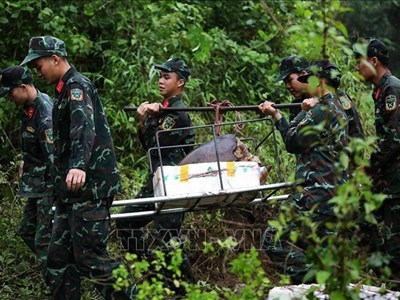  Đã hủy nổ an toàn 244 vật liệu nổ trục vớt từ lòng sông Đà