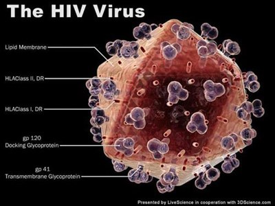 Đột phá trong điều trị HIV khiến các nhà nghiên cứu “choáng ngợp”