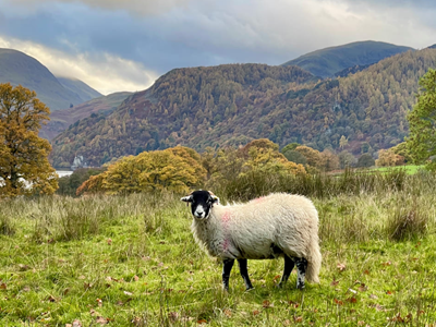 UNESCO bị kêu gọi xem xét lại danh hiệu Di sản thế giới Lake District