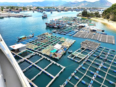  Lập quy hoạch khu đô thị, du lịch và bến siêu du thuyền 5.200 ha tại Đề Gi