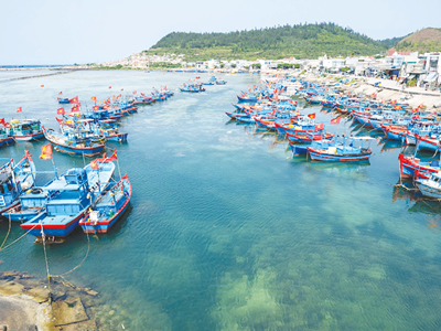  “Trái ngọt” trên hành trình giảm nghèo bền vững ở Lý Sơn