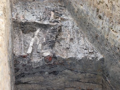 Đối mặt với giải pháp bảo tồn