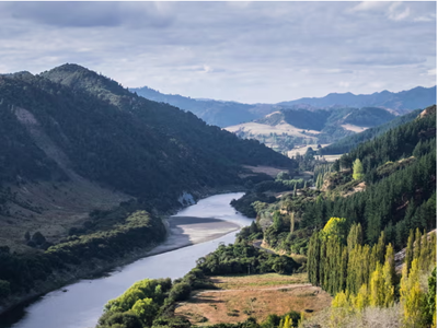 Người Mỹ giàu có đổ xô xin “thị thực vàng” New Zealand
