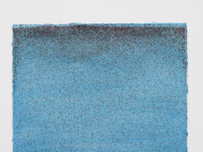 Nghệ sĩ Mỹ dùng... ruồi vẽ tranh