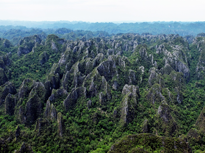  Biểu tượng quan hệ hữu nghị đặc biệt