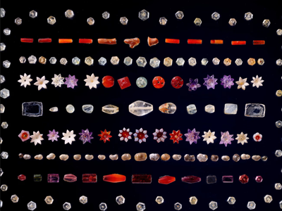 Sau 127 năm lưu lạc, xá lợi Đức Phật trở về đất mẹ Ấn Độ