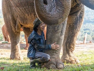 Người phụ nữ dành cả đời bảo vệ những chú voi
