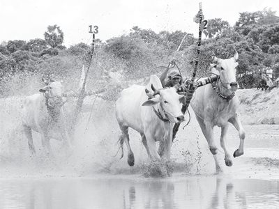  Ô Lâm đánh thức tiềm năng di sản văn hóa