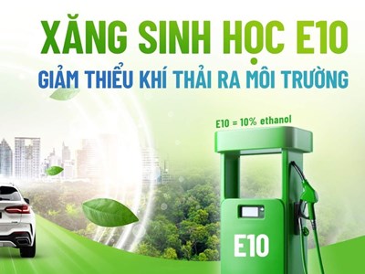 Xe nào dùng được, xe nào nên tránh?