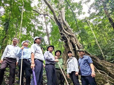  “Di sản kép” của Trường Sơn hùng vĩ