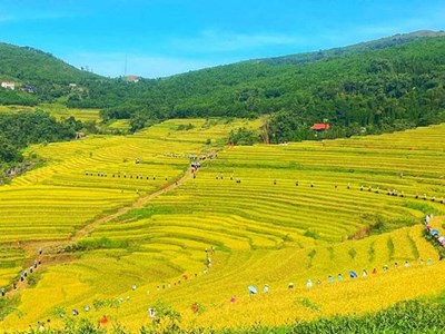 Lễ hội ruộng bậc thang Miền Đồi