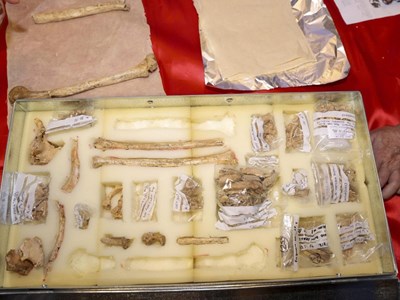  Xung quanh bộ xương người có niên đại 12.000 năm ở Tràng An